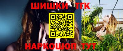 гидра Новозыбков