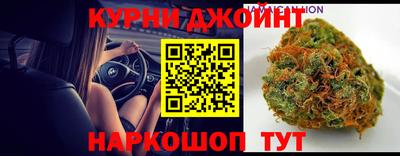 гидра Новозыбков