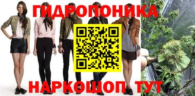 МДПВ Новодвинск