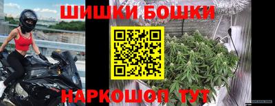 МДПВ Новодвинск