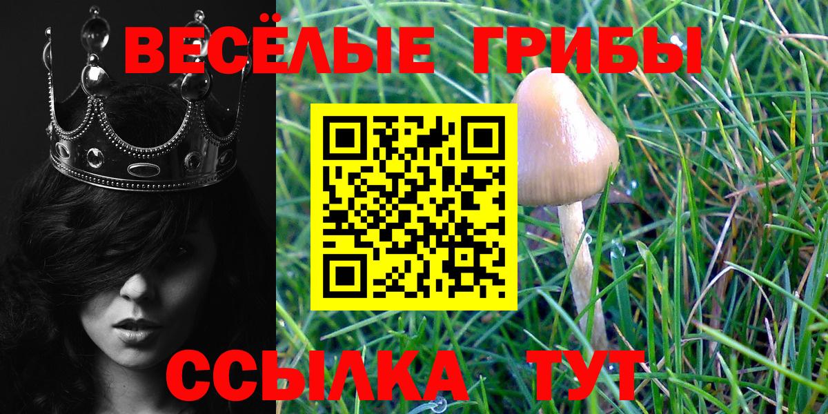 Галлюциногенные грибы мицелий Сердобск