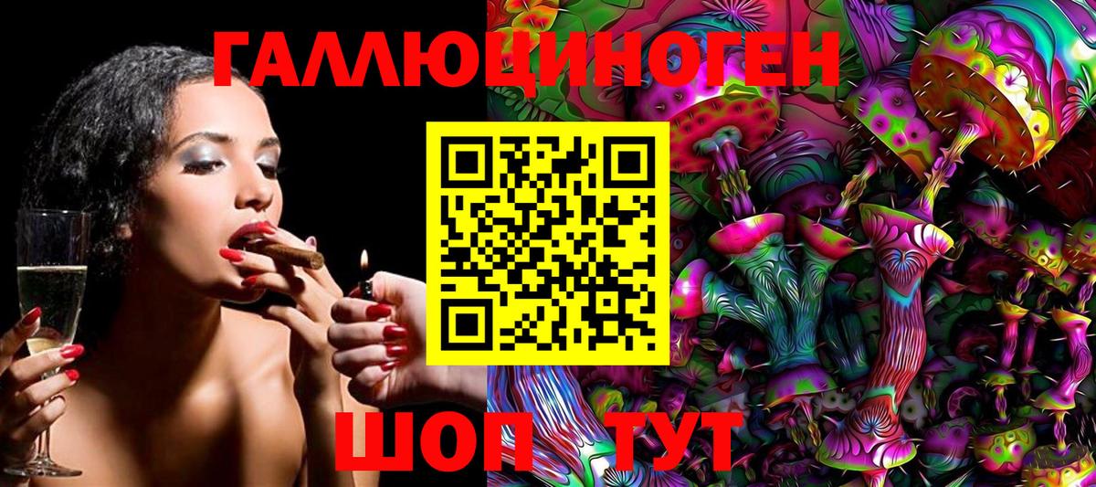 Сердобск  Галлюциногенные грибы прущие грибы  Вход с VPN 